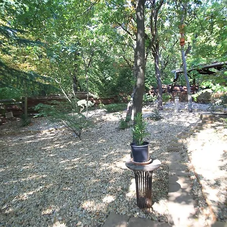 La Sognare, Ahol Az Alom Valora Valik * Leányfalu