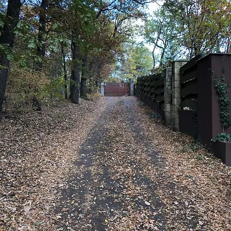 La Sognare, Ahol Az Alom Valora Valik 빌라 Leányfalu