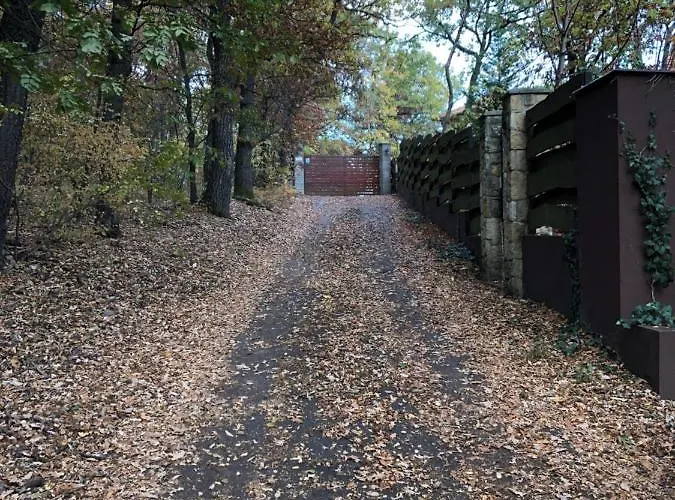 La Sognare, Ahol Az Alom Valora Valik Villa Leányfalu